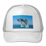 Up Up Up Dolphins Hat