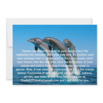 Up Up Up Dolphins