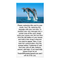 Up Up Up Dolphins