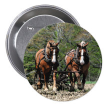 Uphill Button