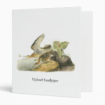 Upland Sandpiper, John Audubon 3 Ring Binders