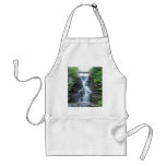 Upper Buttermilk Falls Ithaca, NY aprons