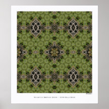 Upper Dells Birch 4 Poster