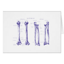 Upper Limb Blue Card
