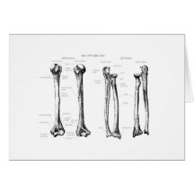 Upper Limb Grey Cards