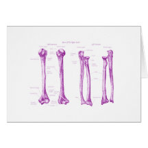 Upper Limb Purple Greeting Cards