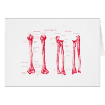 Upper Limb Red Greeting Card
