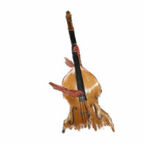 Upright acoustic bass with hands musician