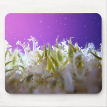 Upside Down Jellyfish Mousepad