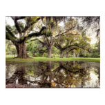 Uptown New Orleans Rain Postcards