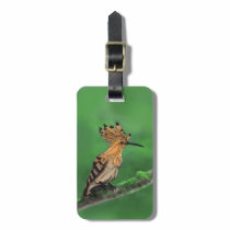 Upupa Luggage Tag luggage tags
