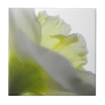 Upwards - Daffodil Petals From Below Tiles