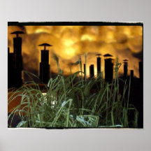 urban grass posters