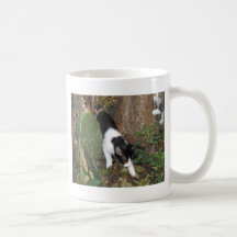 Urban Jungle Cats Mug