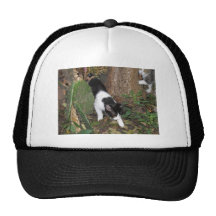 Urban Jungle Cats Trucker Hat