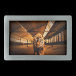 Urban tiger belt buckles