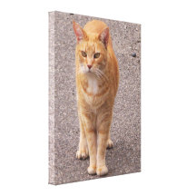 Urban Tiger Stretched Canvas Print