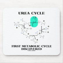 Urea Cycle First Metabolic Cycle Discovered Mouse Pad