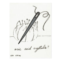 Uric Acid Crystals postcard