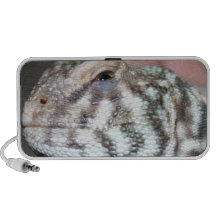 Uromastyx PC Speakers