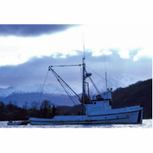 Ursa Major at Uyak Bay, Kodiak Cut Out