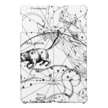 Ursa Minor iPad Mini Case