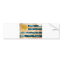 Uruguay Flag