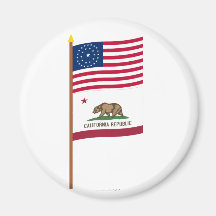 US 31-star flag on pole with California Fridge Magnets