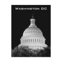 US Capitol Postcard