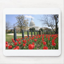 US Capitol spring flower Mouse Pad