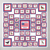 USA 50 STATE BIRDS WHITE/553 POSTERS