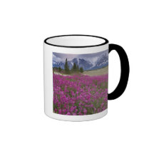 USA, Alaska, Alsek River Valley. View of Coffee Mugs