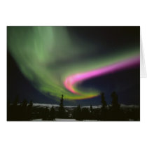 USA, Alaska, Chena Hot Springs. Aurora 2 Card
