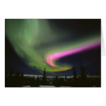 USA, Alaska, Chena Hot Springs. Aurora 2 cards