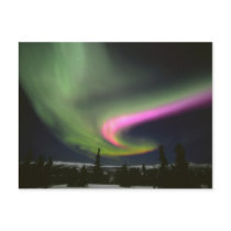 USA, Alaska, Chena Hot Springs. Aurora 2 Postcards