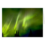 USA, Alaska, Chena Hot Springs. Aurora 3 cards
