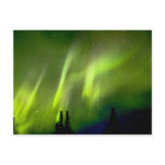 USA, Alaska, Chena Hot Springs. Aurora 3 postcards