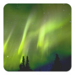 USA, Alaska, Chena Hot Springs. Aurora 3 stickers