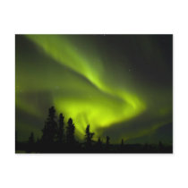 USA, Alaska, Chena Hot Springs. Aurora Borealis 2