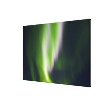 USA, Alaska, Chena Hot Springs. Aurora Borealis