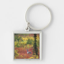 USA, Alaska, Denali National Park. Caribou and Keychains