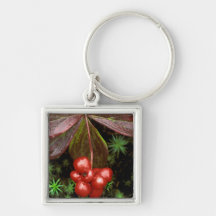 USA, Alaska, Denali National Park. Detail of Keychains