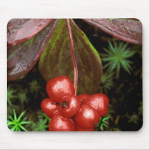 USA, Alaska, Denali National Park. Detail of Mouse Pad
