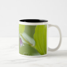 USA, Alaska, Glacier Bay National Park. Coffee Mug