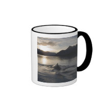 USA, Alaska, Glacier Bay National Park, Mug