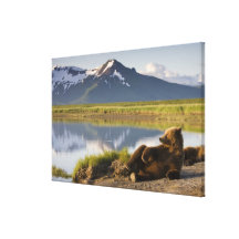 USA, Alaska, Katmai National Park, Brown Bears 2 Gallery Wrap Canvas