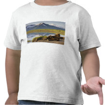 USA, Alaska, Katmai National Park, Brown Bears 2 Shirt