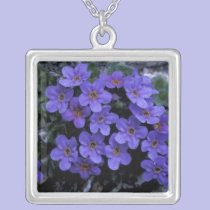 USA, Alaska National Wildlife Refuge (ANWR). necklaces