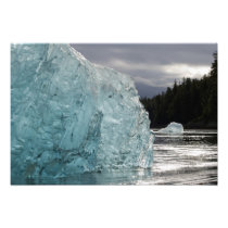 USA, Alaska, Tongass National Forest, Tracy 2