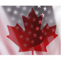 USA and Canada flags photo sculpture medium